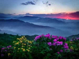 The Azalea Inn, Banner Elk North Carolina, Bed and Breakfast